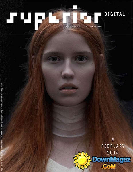 SUPERIOR DIGITAL - February 2014