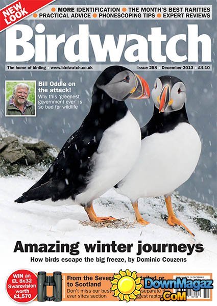 BirdWatch - December 2013