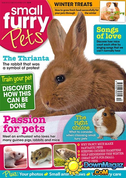 Small Furry Pets UK - October/November 2015 Small Furry Pets UK - October/November 2015