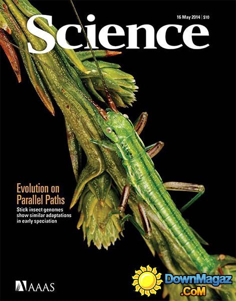 Science Magazine - 16 May 2014 Science Magazine - 16 May 2014