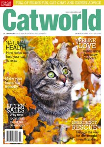 Cat World - 11.2018 Cat World - 11.2018