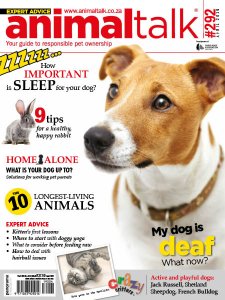 Animal Talk - 04.2019