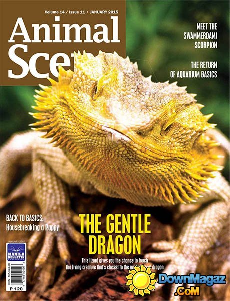 Animal Scene - January 2015 Animal Scene - January 2015