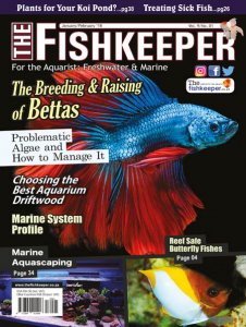 The Fishkeeper - 01/02 2018 The Fishkeeper - 01/02 2018