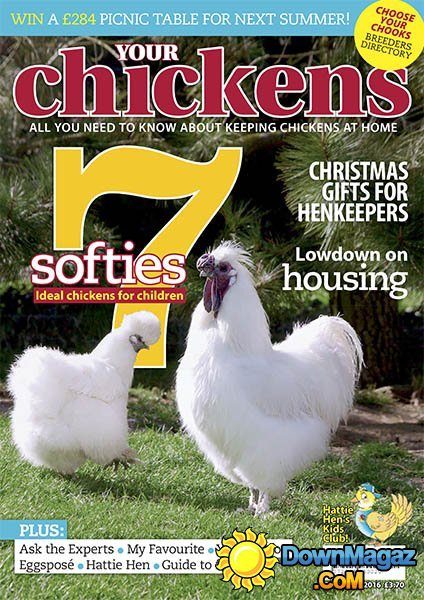 Your Chickens - December 2016 Your Chickens - December 2016