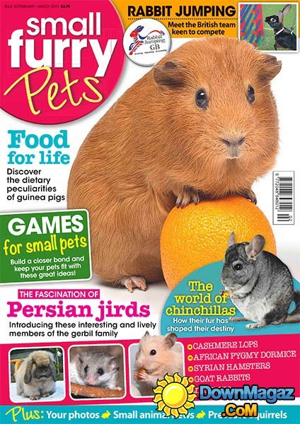 Small Furry Pets - February/March 2015