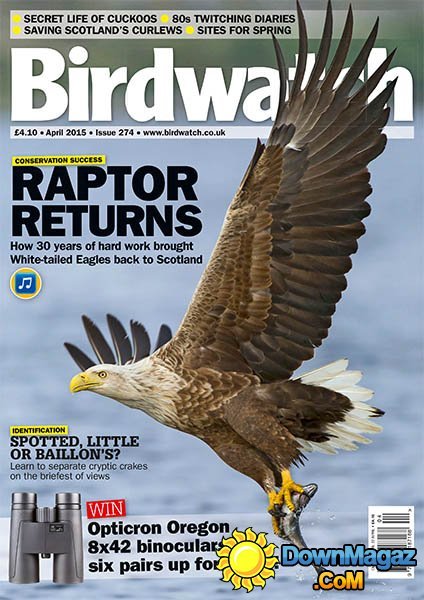 BirdWatch - April 2015