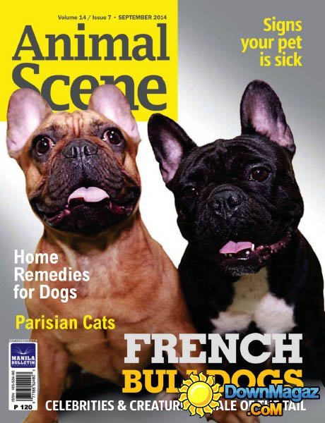 Animal Scene - September 2014 Animal Scene - September 2014