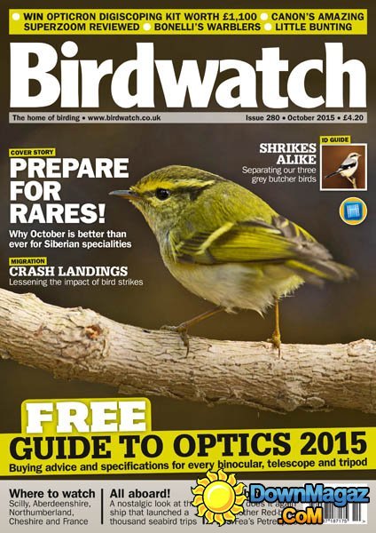 Birdwatch UK - October 2015