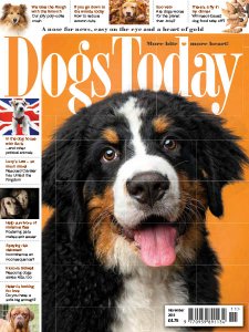 Dogs Today UK - 11.2019 Dogs Today UK - 11.2019