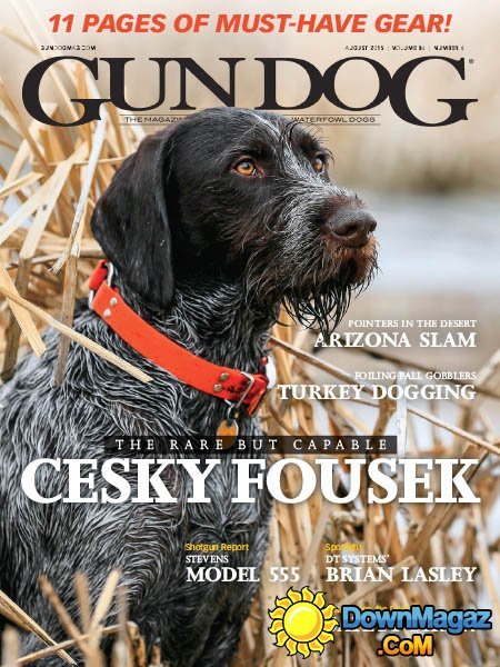 Gun Dog USA - August 2015