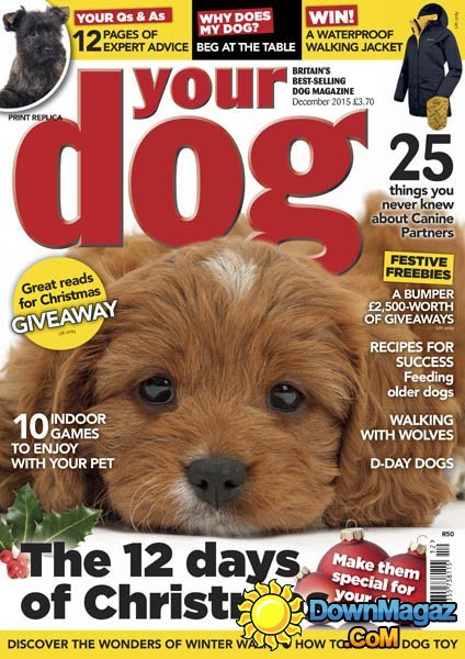 Your Dog UK – December 2015 Your Dog UK – December 2015