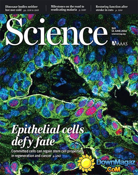 Science Magazine - 13 June 2014 Science Magazine - 13 June 2014