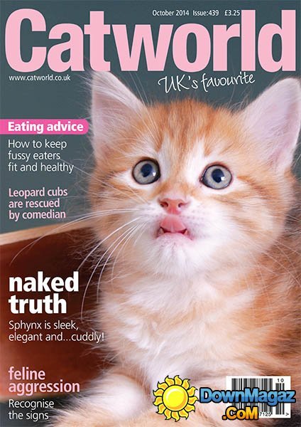 Catworld - October 2014 Catworld - October 2014