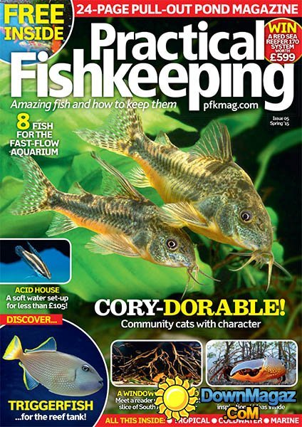 Practical Fishkeeping - Spring 2015
