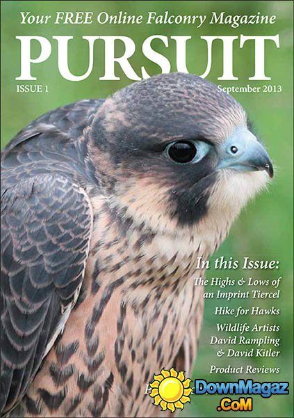 Pursuit Falconry Magazine - September 2013 Pursuit Falconry Magazine - September 2013