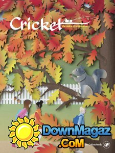 Cricket - 09.2017 Cricket - 09.2017