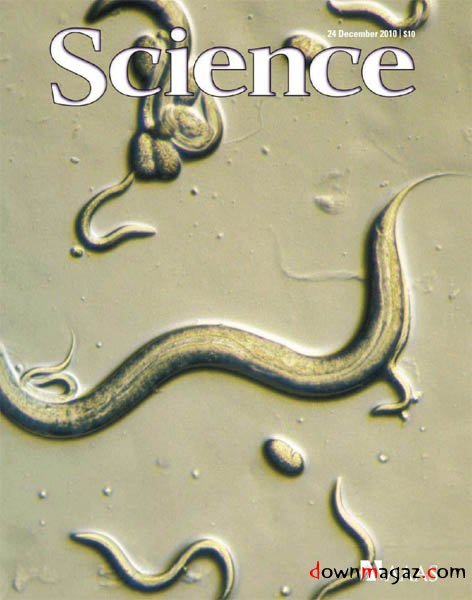 Science - 24 December 2010 Science - 24 December 2010