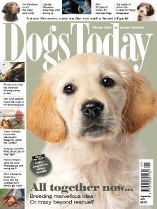 Dogs Today UK - 09.2019 Dogs Today UK - 09.2019