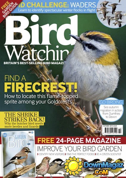 Bird Watching UK – October 2015 Bird Watching UK – October 2015