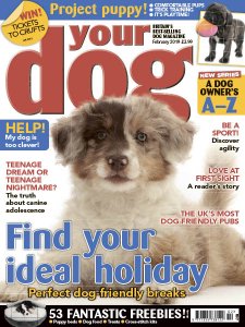 Your Dog - 02.2019 Your Dog - 02.2019