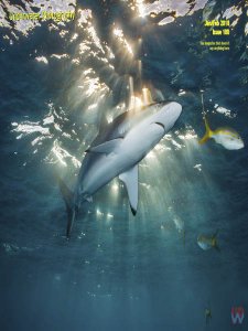 Underwater Photography - 01/02 2018 Underwater Photography - 01/02 2018