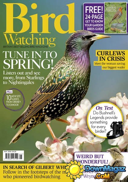 Bird Watching UK - May 2016