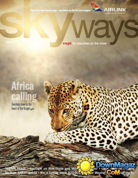 Skyways - May 2015