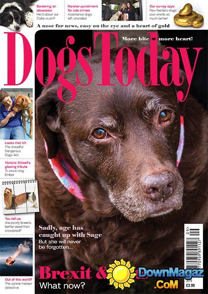 Dogs Today - September 2016 Dogs Today - September 2016