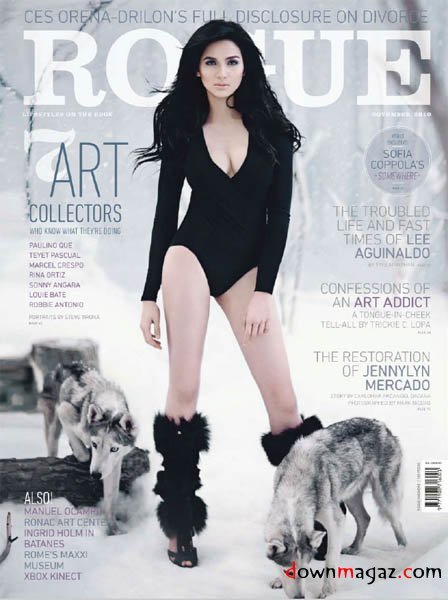 Rogue - November 2010 Rogue - November 2010