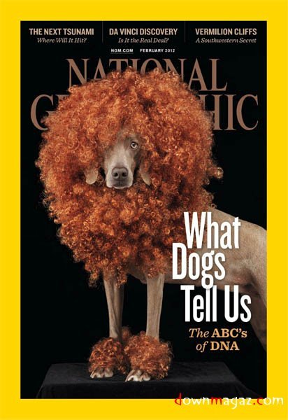 National Geographic Interactive - February 2012 National Geographic Interactive - February 2012