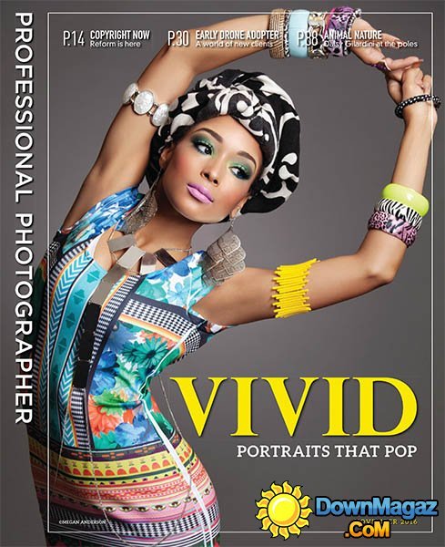 Professional Photographer - November 2016