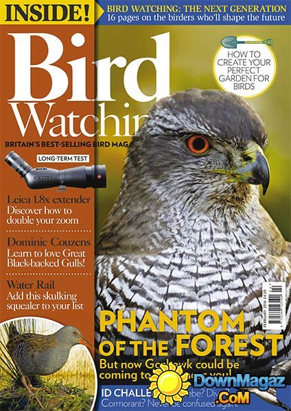 Bird Watching UK - February 2016 Bird Watching UK - February 2016