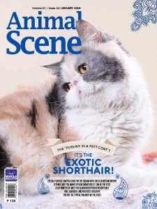 Animal Scene - 01.2018 Animal Scene - 01.2018