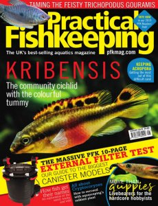 Practical Fishkeeping - 08.2019 Practical Fishkeeping - 08.2019