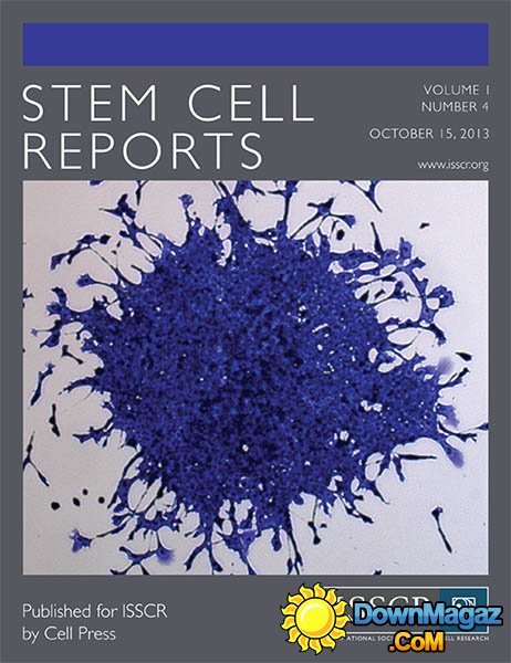 Stem Cell Reports - 15 October 2013