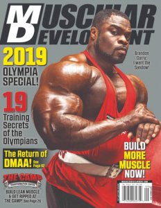 Muscular Development - 09.2019
