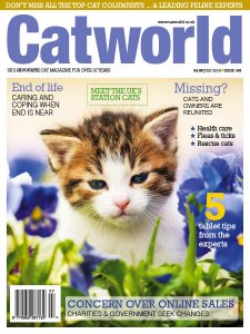 Cat World - 07.2018 Cat World - 07.2018
