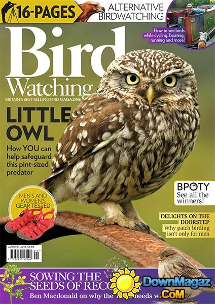 Bird Watching UK - Autumn 2016 Bird Watching UK - Autumn 2016