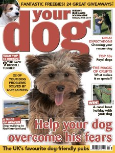 Your Dog - 02.2018 Your Dog - 02.2018