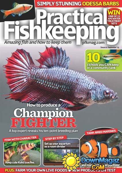 Practical Fishkeeping UK - September 2015