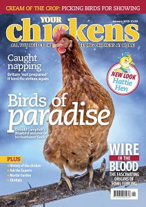 Your Chickens - 01.2019 Your Chickens - 01.2019