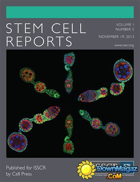 Stem Cell Reports - 19 November 2013