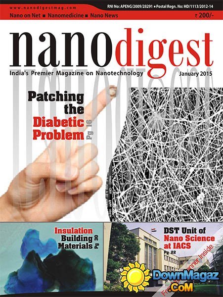 Nano Digest - January 2015
