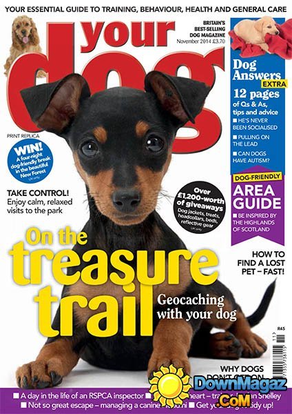 Your Dog - November 2014