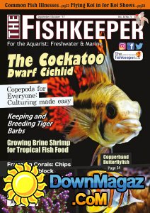 The Fishkeeper - 09/10 2017 The Fishkeeper - 09/10 2017