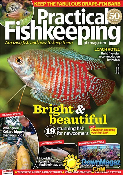 Practical Fishkeeping - October 2016
