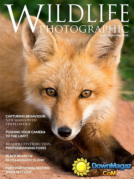 Wildlife Photographic - March - April 2016 Wildlife Photographic - March - April 2016