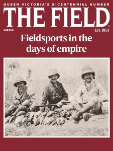 The Field - 06.2019 The Field - 06.2019
