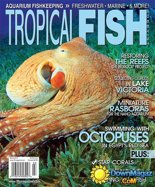 Tropical Fish Hobbyist - March 2014 Tropical Fish Hobbyist - March 2014